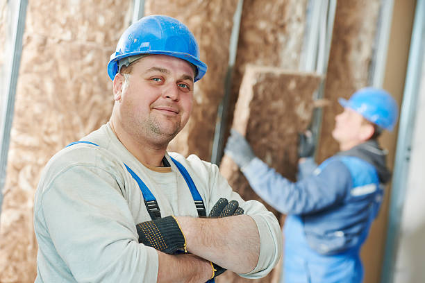 Best Specialty Insulation in Scow Mills, MO